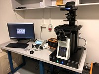 March 2022: Welcome to our new lab member Stedycon!
